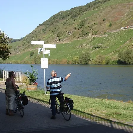 Ferienwohnung Mosel Im Weingut Διαμέρισμα Briedel