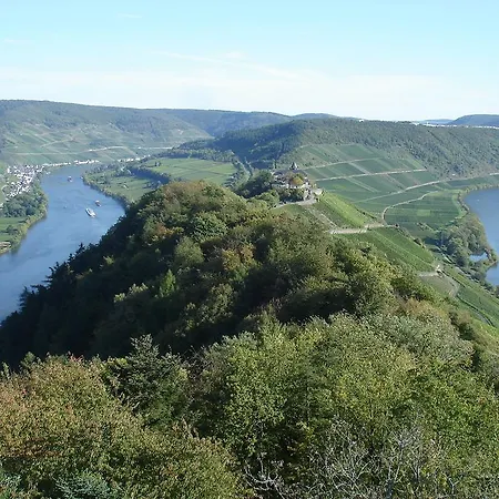 Ferienwohnung Mosel Im Weingut Διαμέρισμα