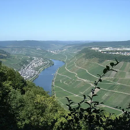 Ferienwohnung Mosel Im Weingut Διαμέρισμα