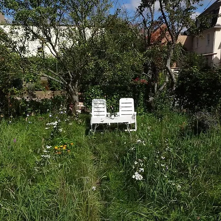 Ferienwohnung Mosel Im Weingut * Briedel