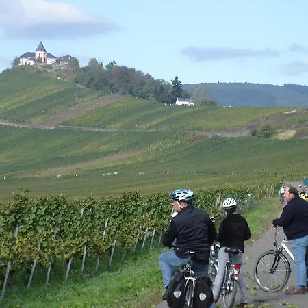 Ferienwohnung Mosel Im Weingut Διαμέρισμα *