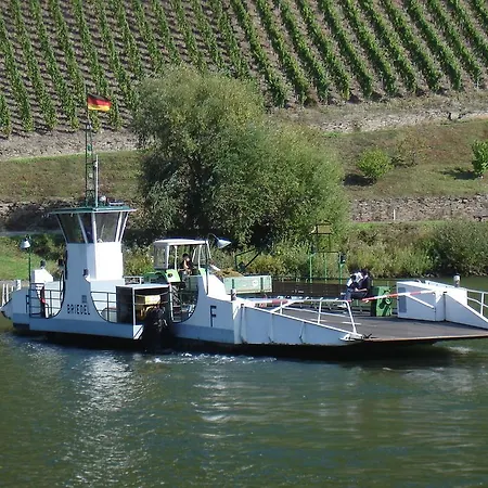 Ferienwohnung Mosel Im Weingut *