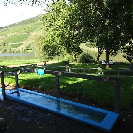Ferienwohnung Mosel Im Weingut Διαμέρισμα Briedel